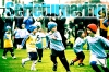 g05_serieturnering